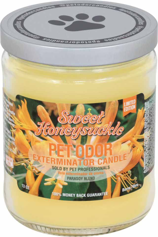 Pet Odor Exterminator Candle, Sweet Honeysuckle, 13 oz - Buy Pet Shop