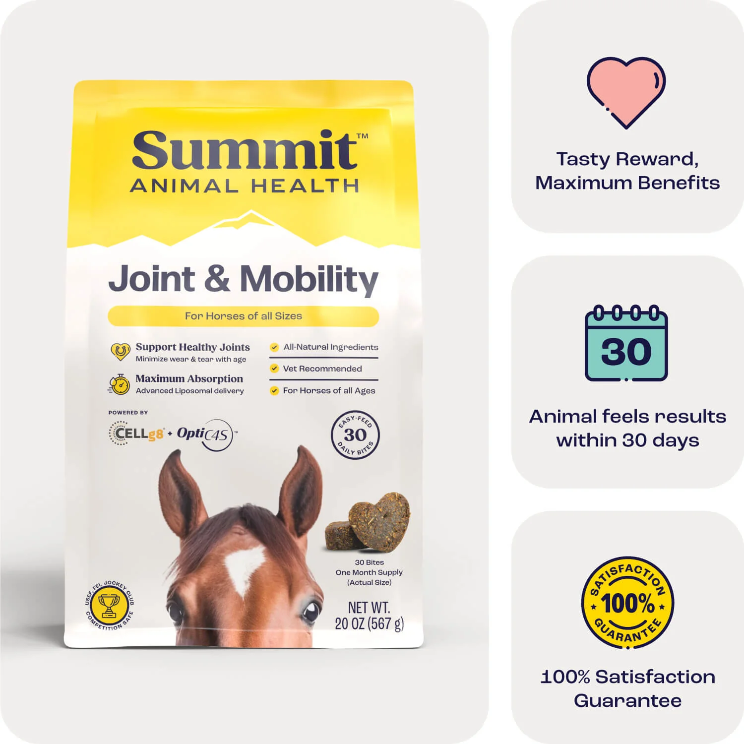 Summit Animal Health - Joint & Mobility Bites for Horses, 30 ct - Buy Pet Shop