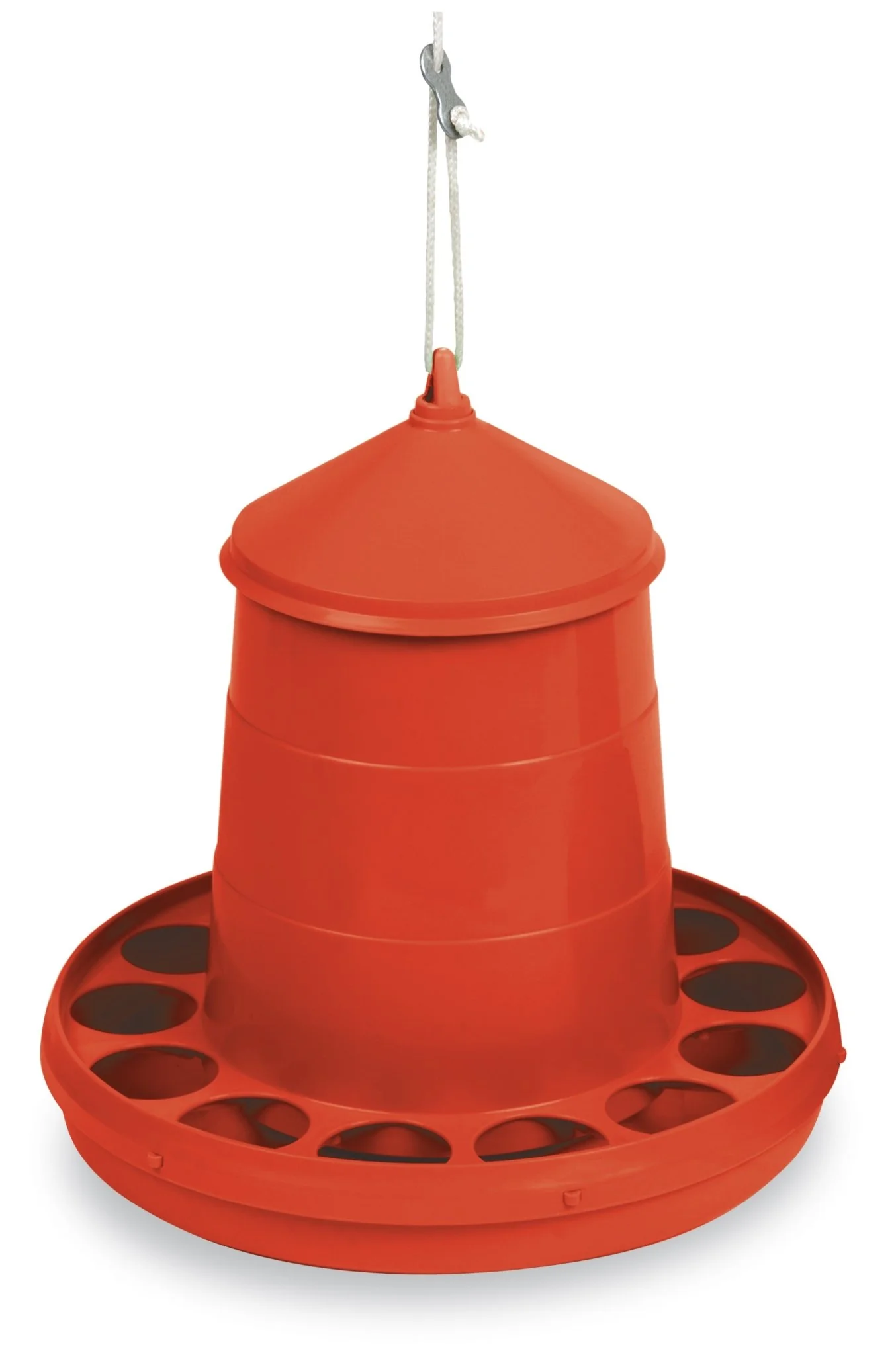 Plastic Hanging Chicken Feeder, 4 lbs - Buy Pet Shop