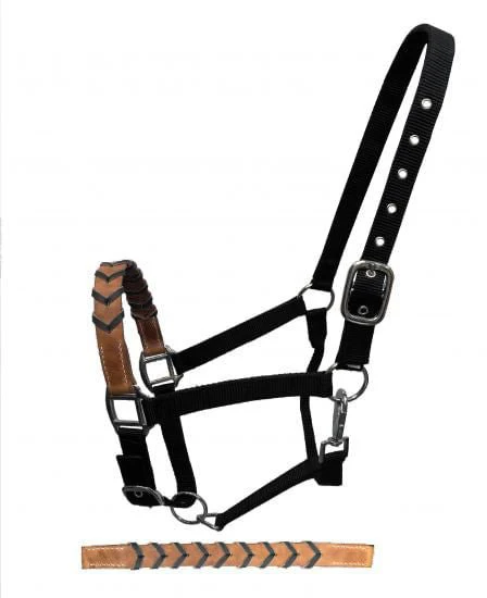 Showman Leather Nose & Buckstitch Halter - Buy Pet Shop