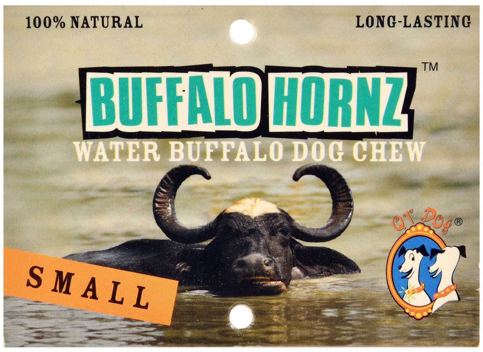 Buffalo Hornz - Buy Pet Shop