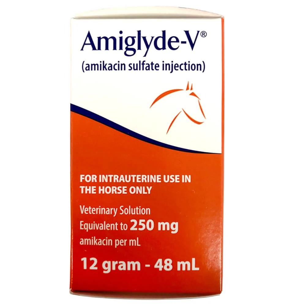 Rx Amiglyde-V (amikacin sulfate) Injection for Horses, 250mg/ml injection x 48ml bottle - Buy Pet Shop