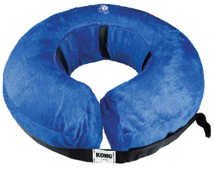 KONG Cloud Protective Pet Collar - Buy Pet Shop