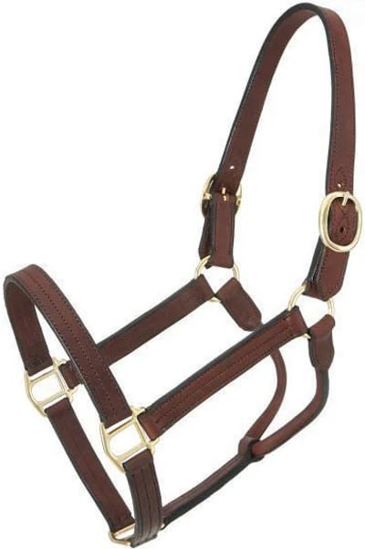 Royal King Preakness Leather Track Horse Halter - Buy Pet Shop