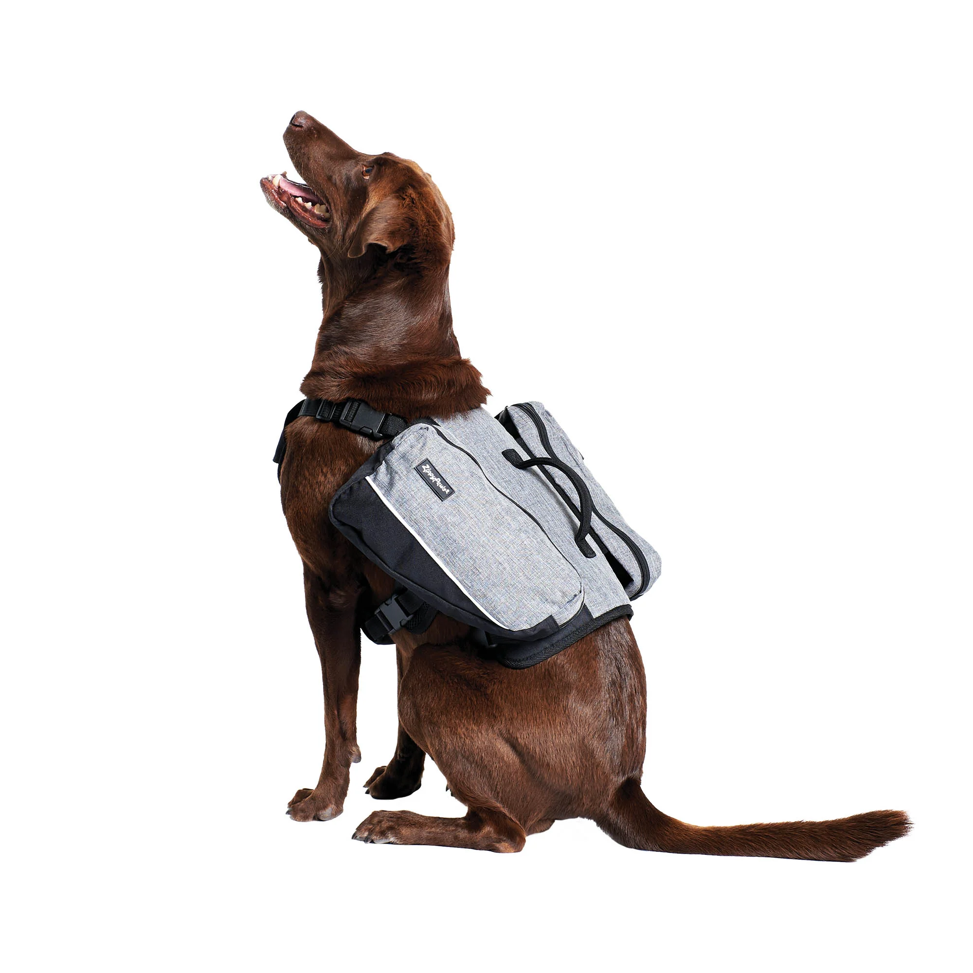 Zippy Paws Lightweight Adventure Backpack, Graphite - Buy Pet Shop