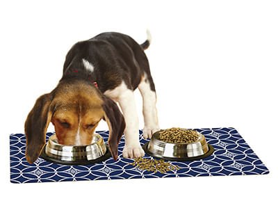 Drymate Pet Bowl Placemat, 12