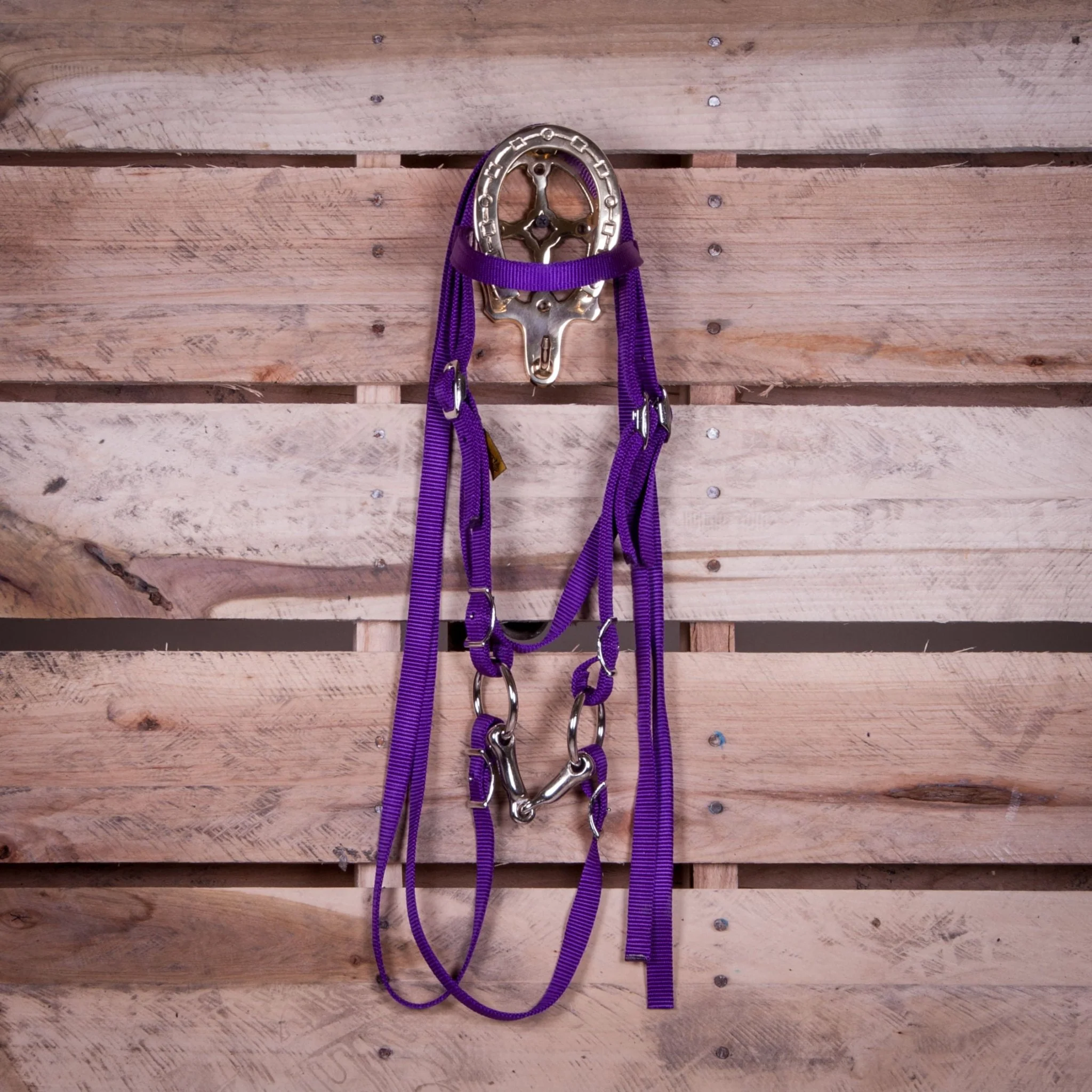 Triple E Miniature Nylon Headstall with Bit & Reins - Buy Pet Shop