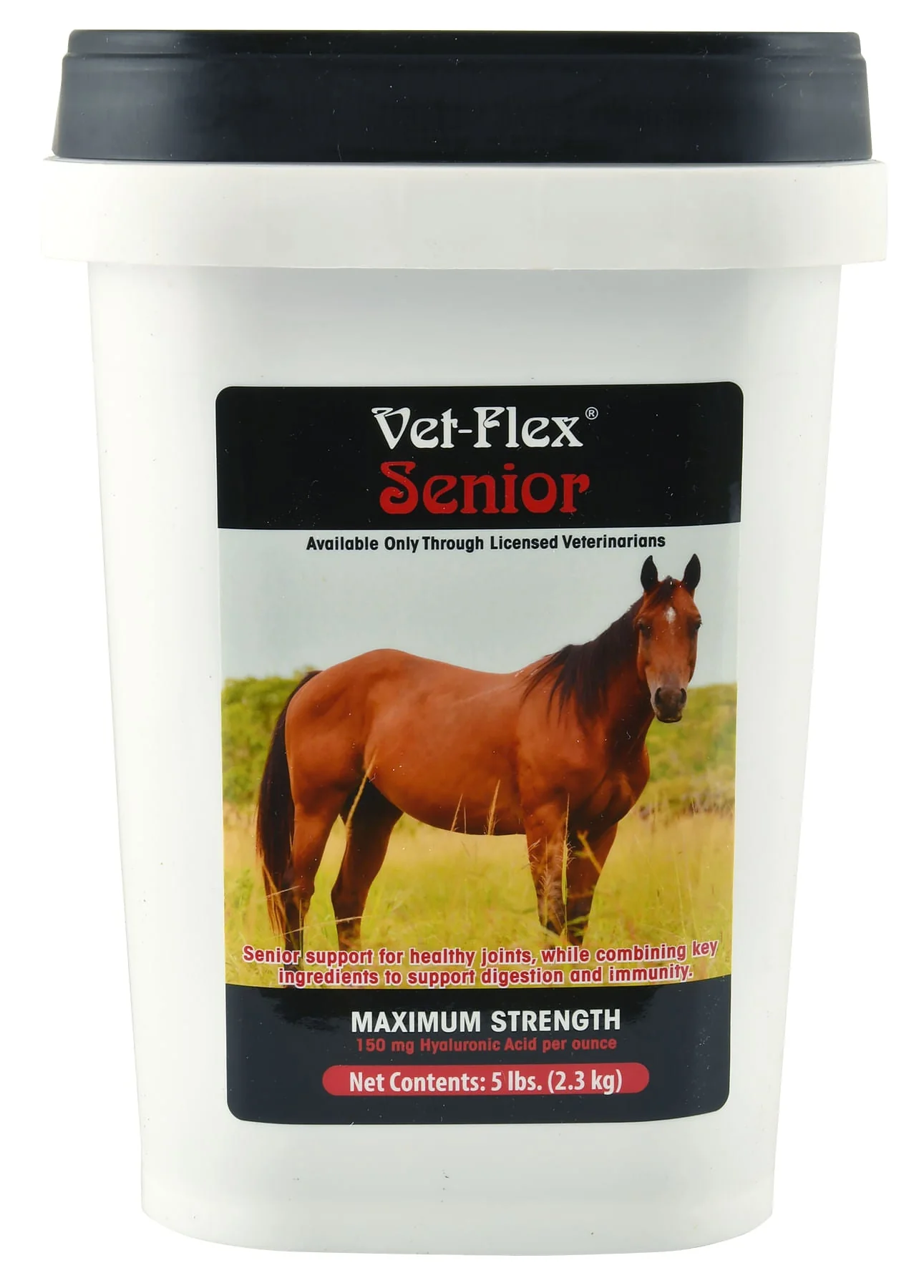 Vet-Flex Senior, 5 lb - Buy Pet Shop