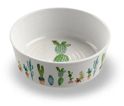 Cactus Pet Bowl - Buy Pet Shop