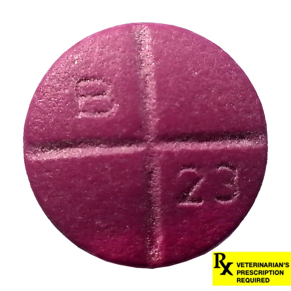 Rx Baytril (enrofloxacin) Coated Tablets for Cats & Dogs - Buy Pet Shop