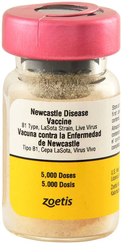 Newcastle Disease Vaccine - 5,000 Dose - Buy Pet Shop