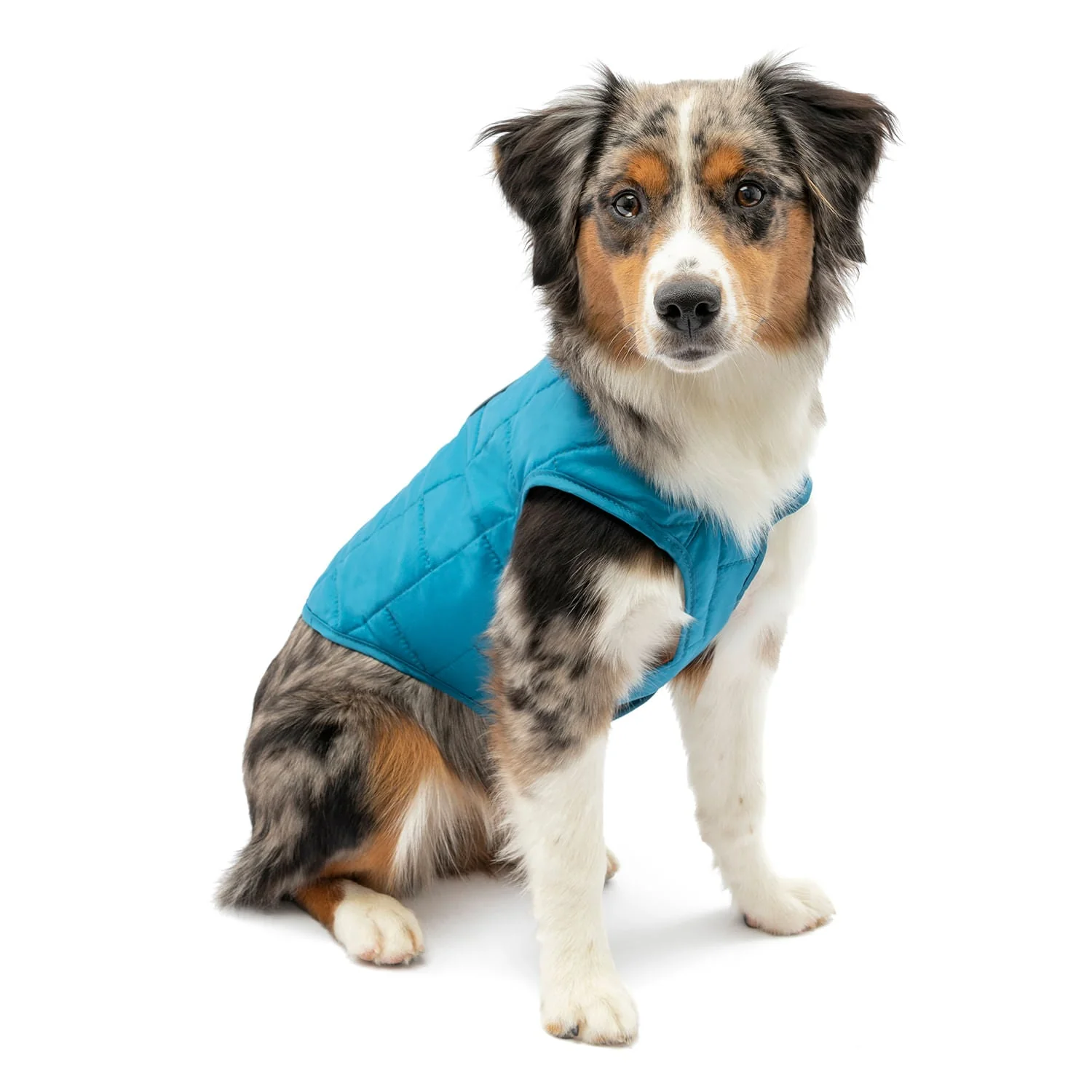 Kurgo Reversible Loft Jacket - Buy Pet Shop