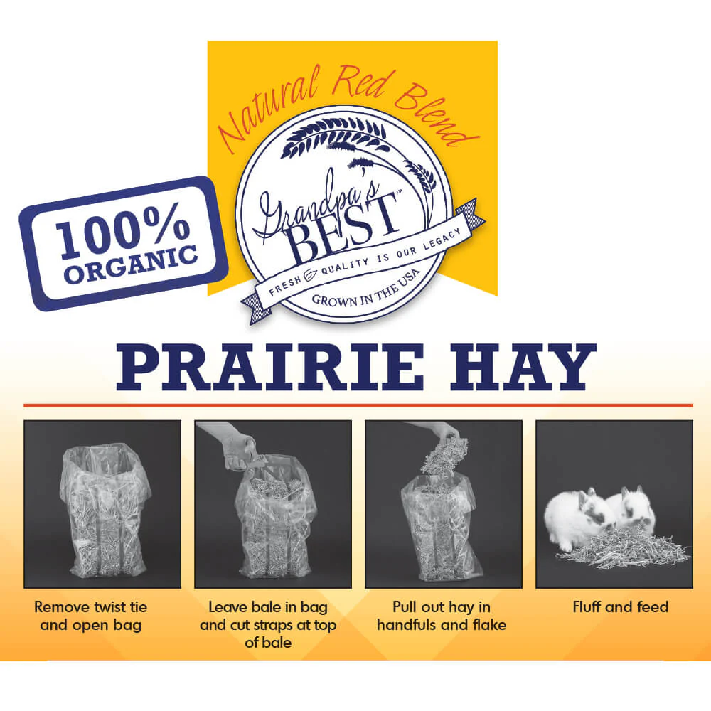 Grandpa's Best Prairie Hay - Buy Pet Shop