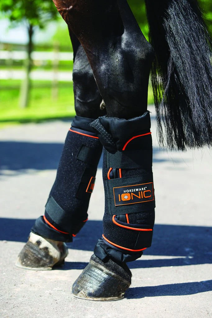 Rambo Ionic Stable Boots, Black/Orange, Pair - Buy Pet Shop