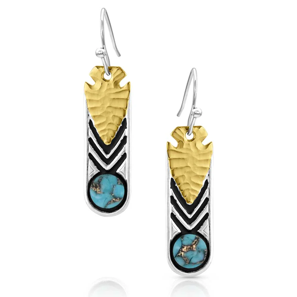 Southwest Nights Arrowhead Turquoise Earrings - Buy Pet Shop