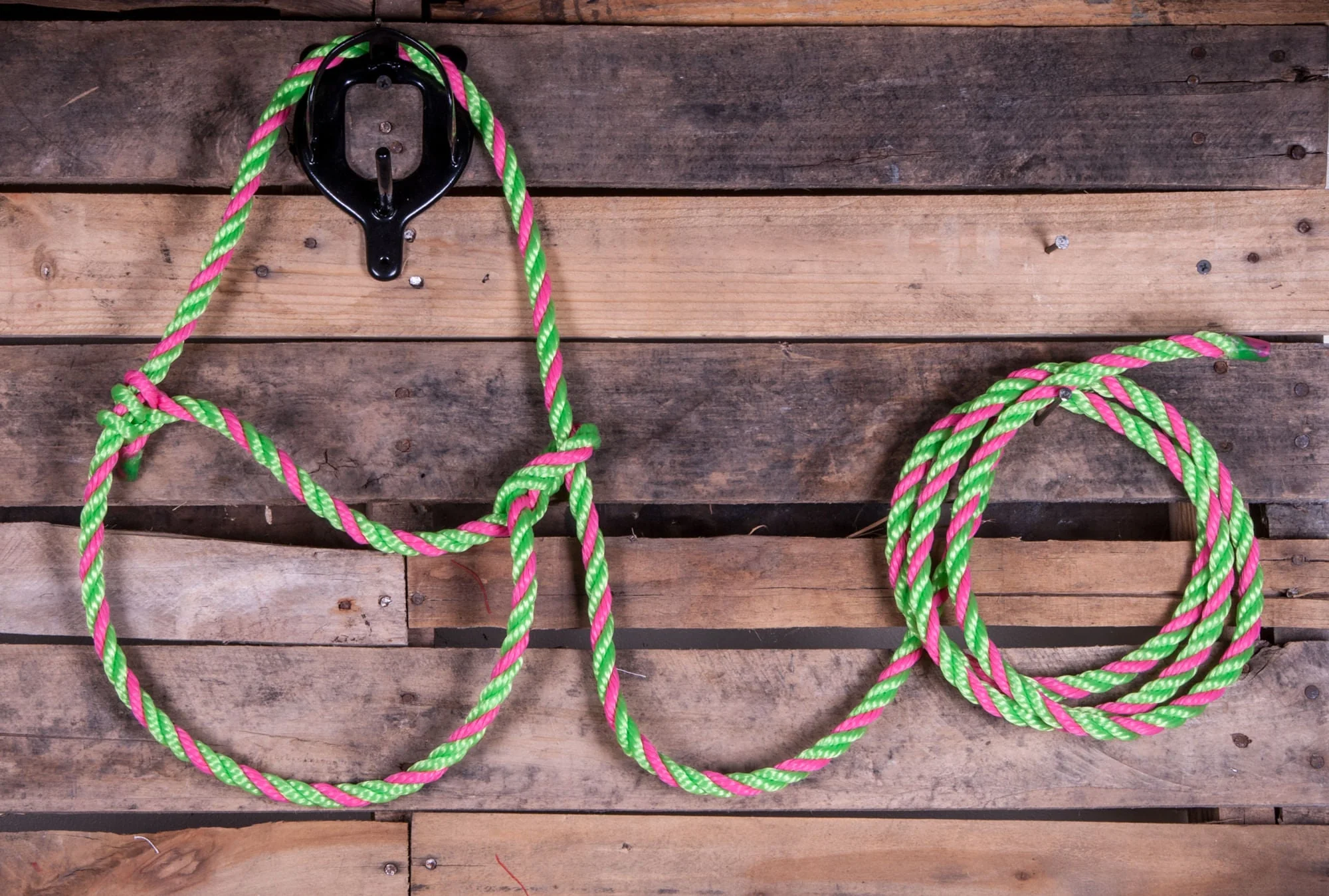 Troyer's Poly Cow Halter - Buy Pet Shop