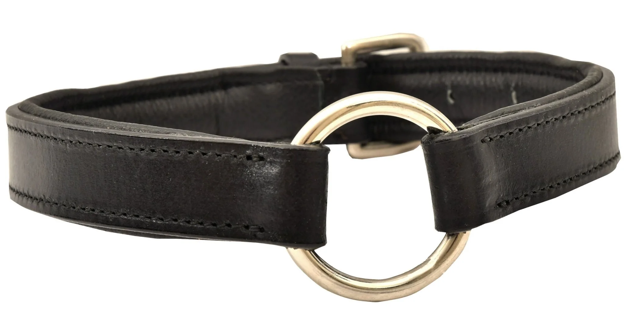 Padded Black Leather Dog Collars - Buy Pet Shop