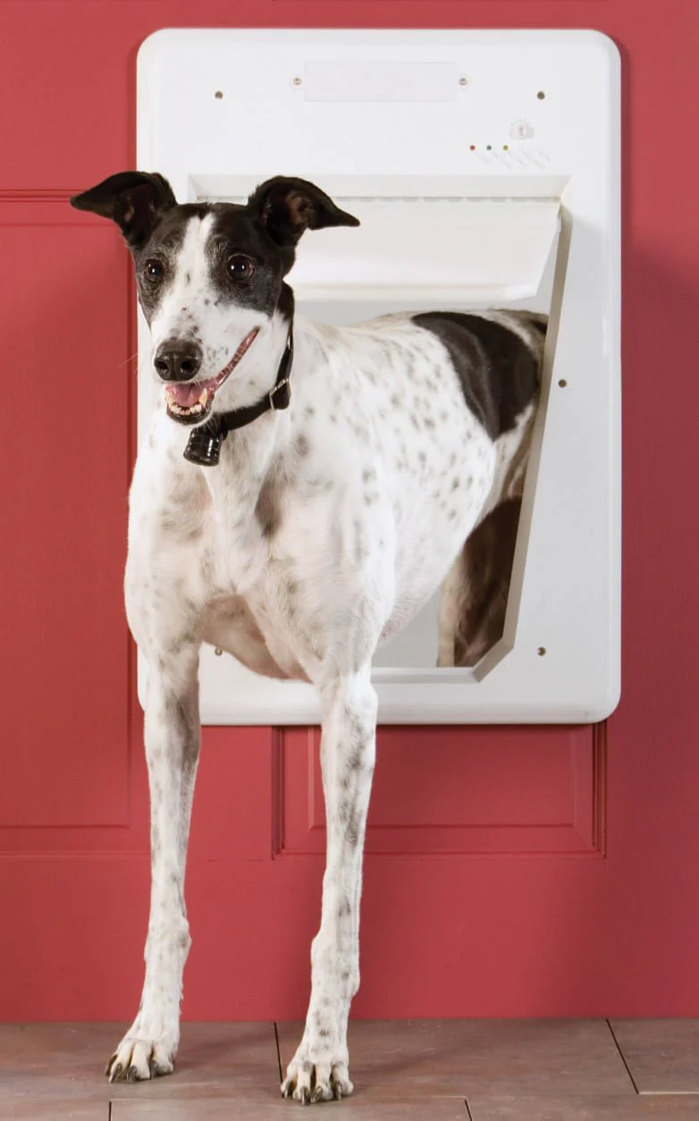 PetSafe Electronic Smart Door - Buy Pet Shop