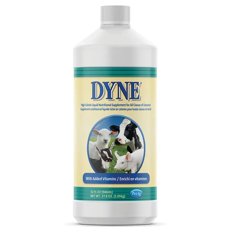 Dyne High Calorie Liquid for Livestock - Buy Pet Shop