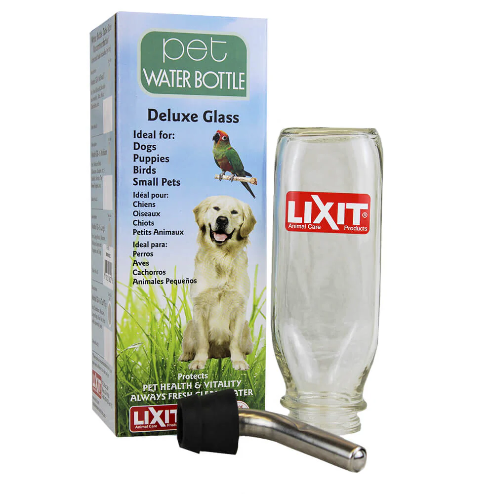 Lixit Glass Water Bottle, 16 oz with Tube - Buy Pet Shop