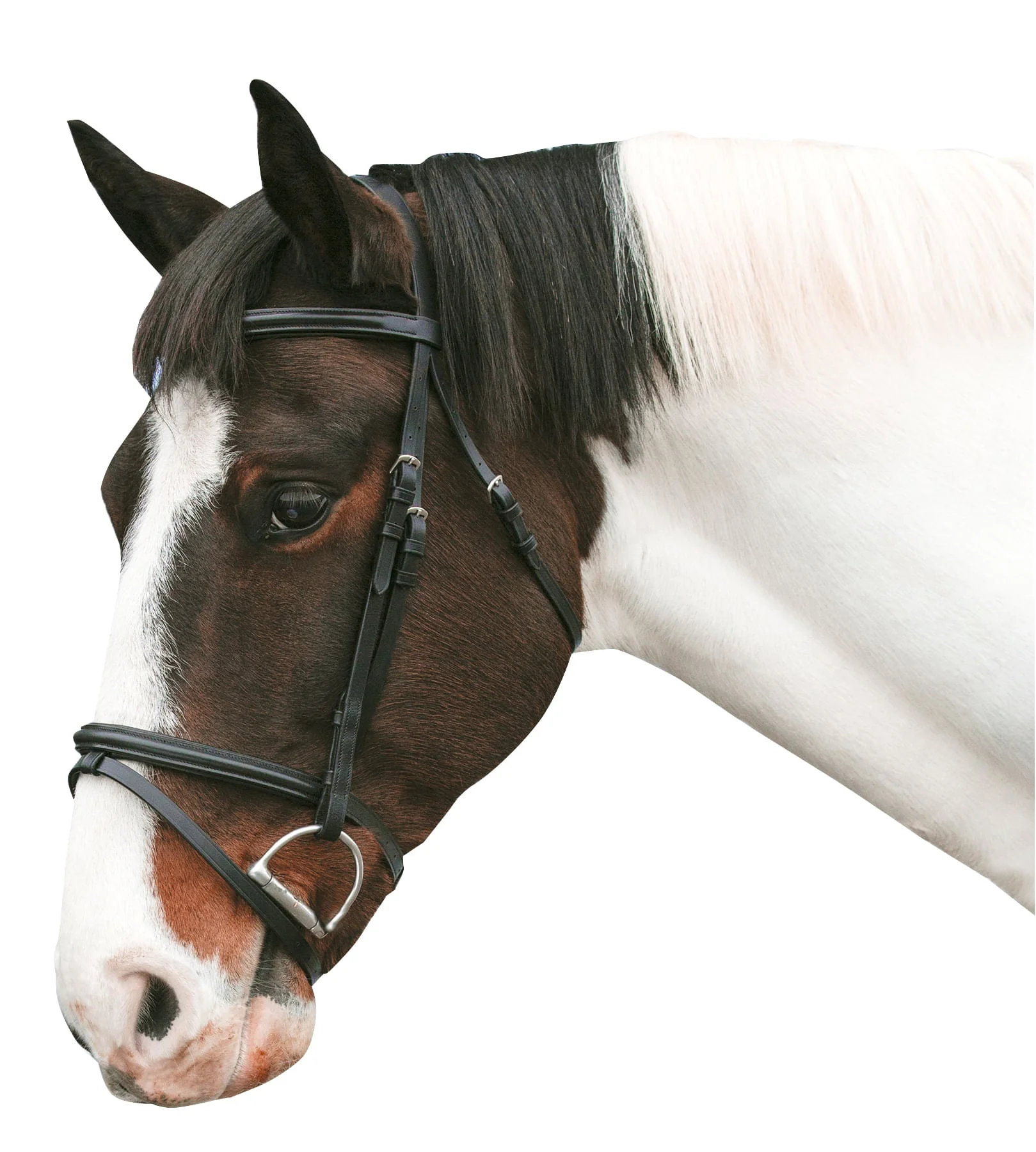 Loveson Horse Bridle - Buy Pet Shop