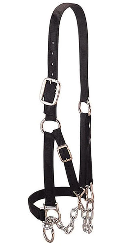 Weaver Heavy Duty Cow Restraint Halter, Black - Buy Pet Shop
