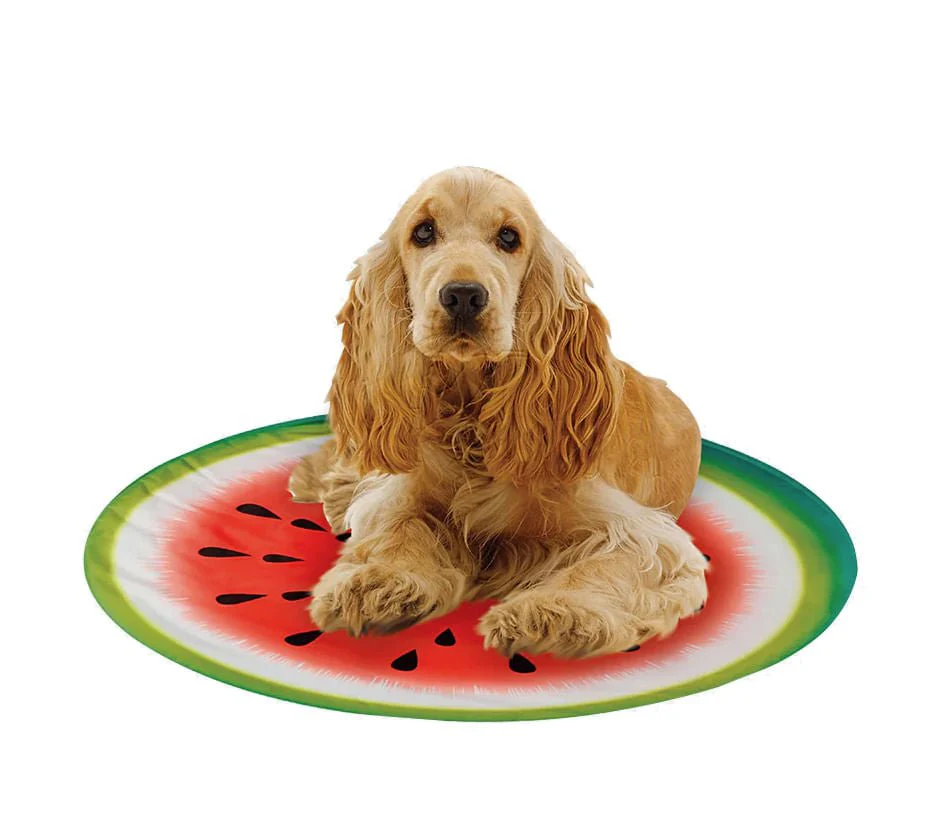 Pet Cooling Pad, Watermelon - Buy Pet Shop