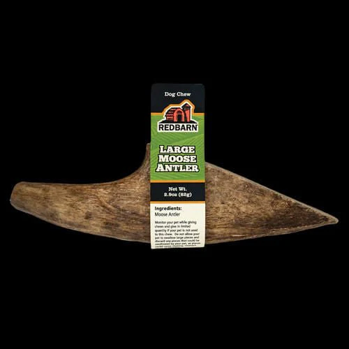 Redbarn Large Palm Moose Antler - Buy Pet Shop