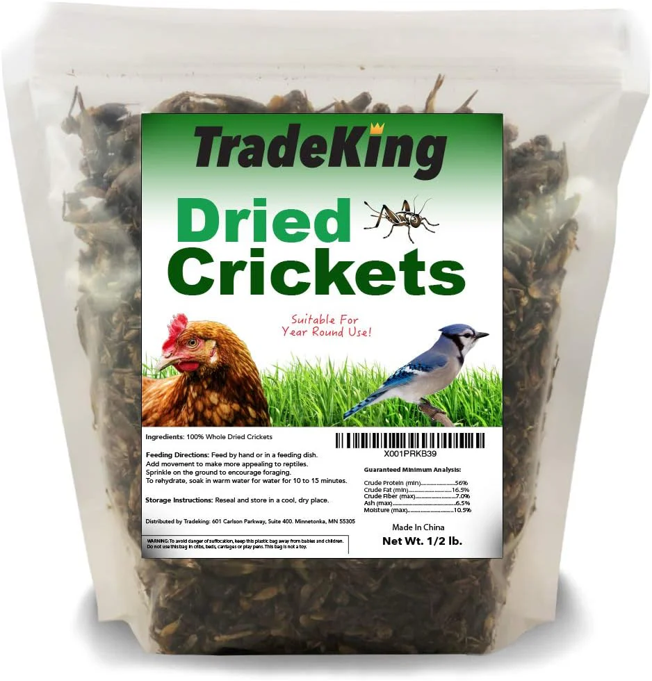 Dried Crickets, 1/2 lb - Buy Pet Shop