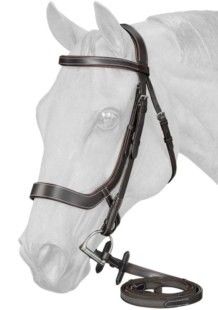 Equitare Cadence Ergonomic Bridle - Buy Pet Shop