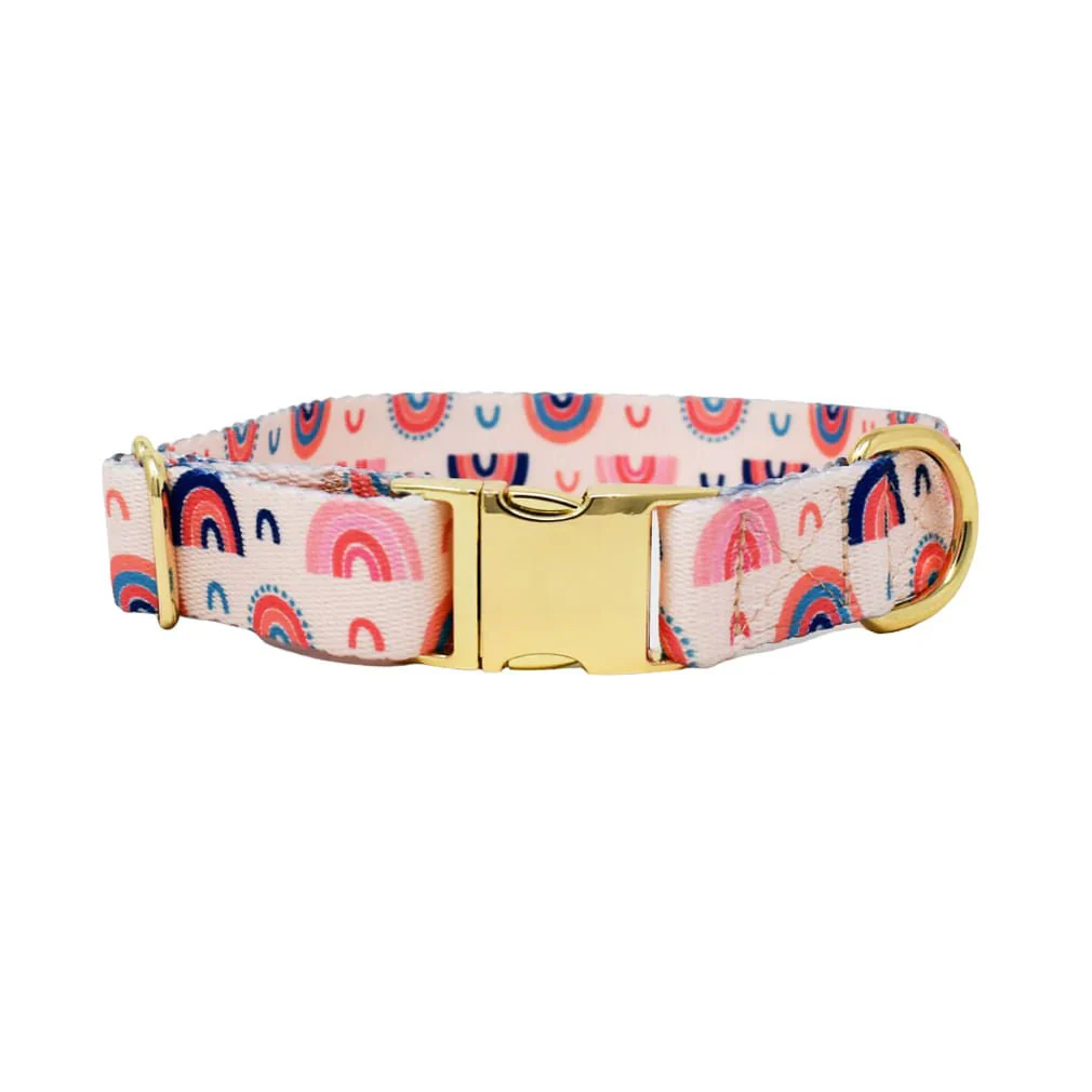 Pink Papyrus Clarke Collar, Rainbow - Buy Pet Shop