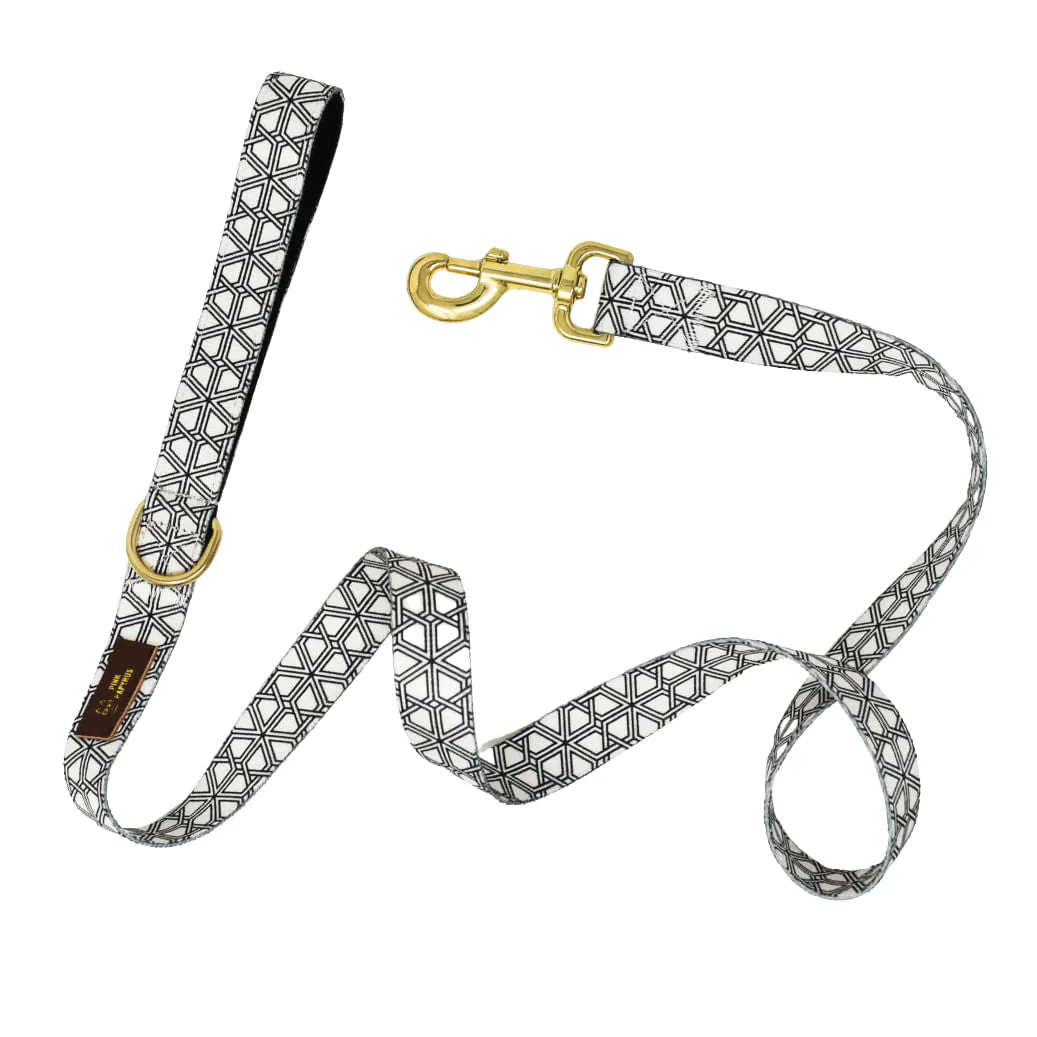 Pink Papyrus Avery Dog Leash, 6ft - Buy Pet Shop