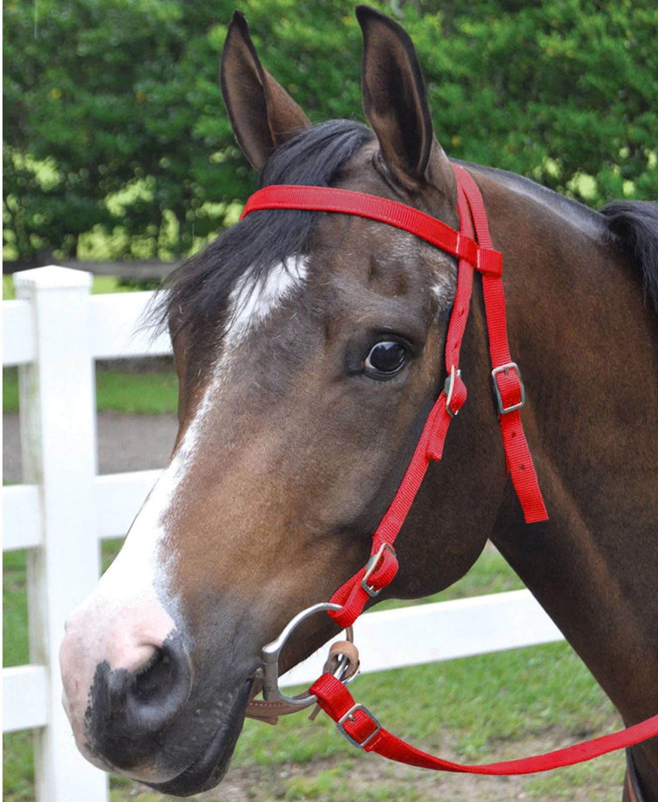 Western Nylon Horse Bridle with 6' Split Reins Set - Buy Pet Shop