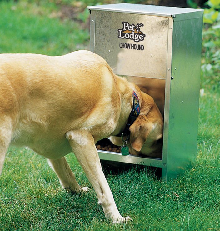 Chow Hound Pet Feeder - Buy Pet Shop