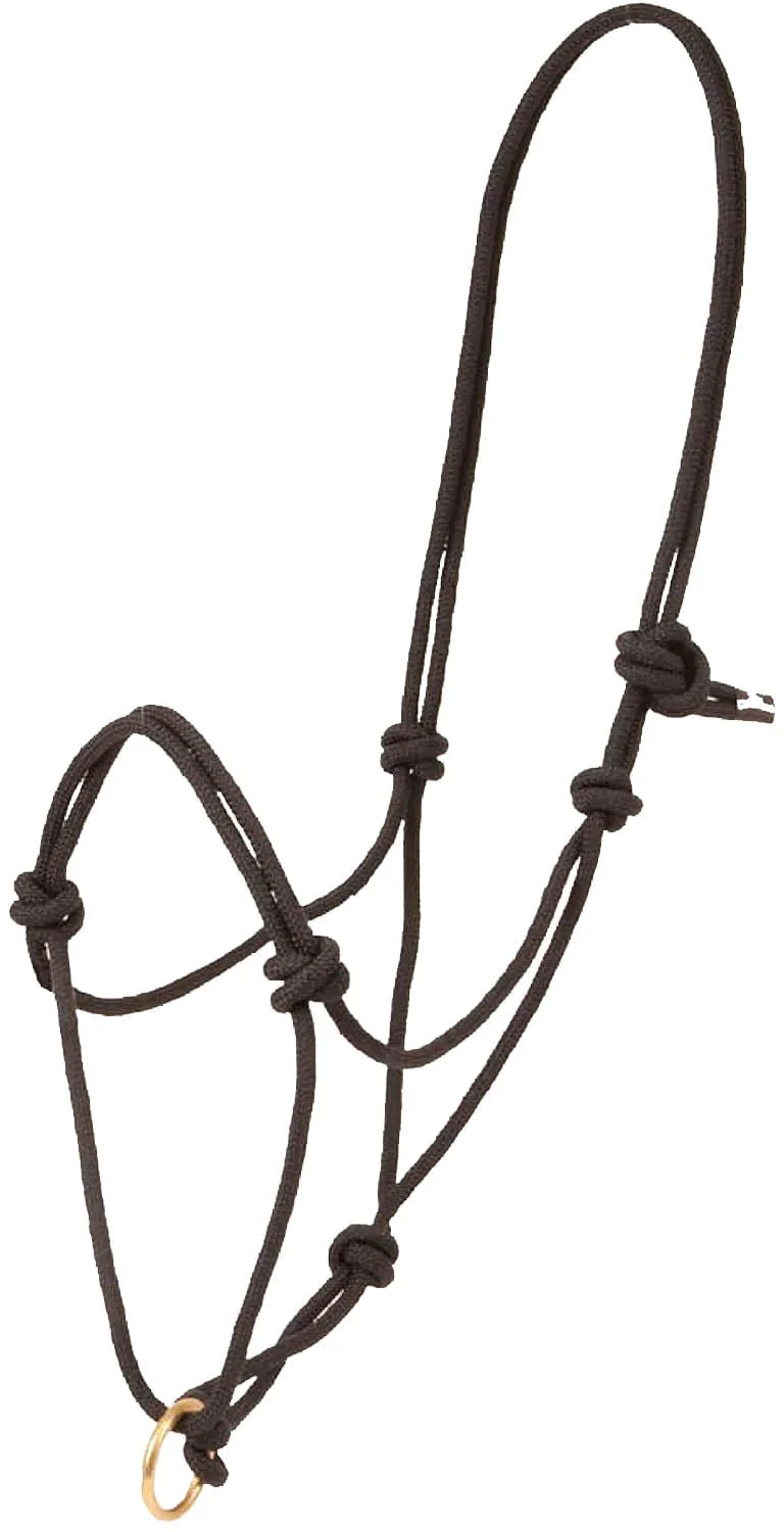 Poly Rope Halter with Brass Plated Lead Ring - Buy Pet Shop