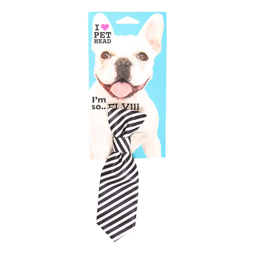 Pet Head I'm So Fly Black & White Stripe Tie - Buy Pet Shop
