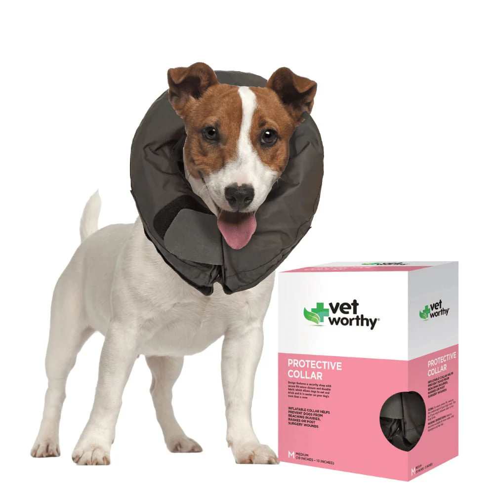 Vet Worthy Inflatable Collar, Black - Buy Pet Shop