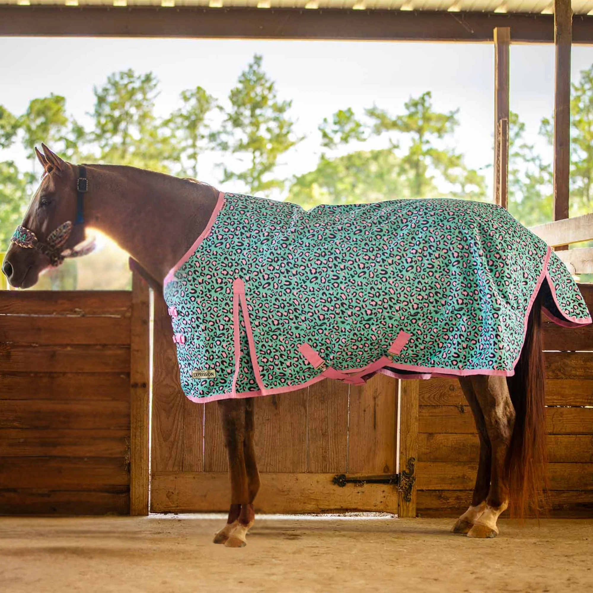 Expression 1200 Denier Standard Neck Turnout Blanket, 240 Gram, Party Cheetah - Buy Pet Shop