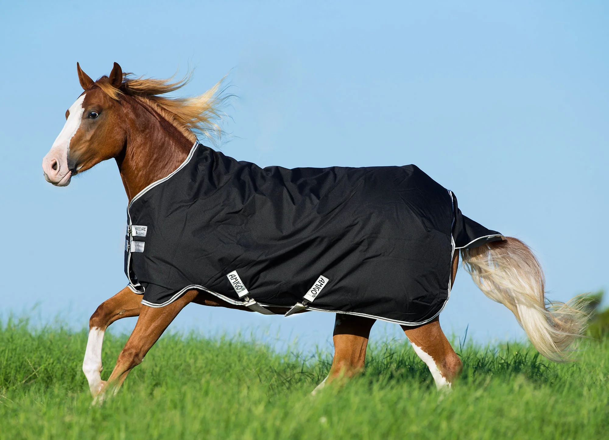 Amigo Stock Medium Weight Horse Turnout Blanket - Buy Pet Shop