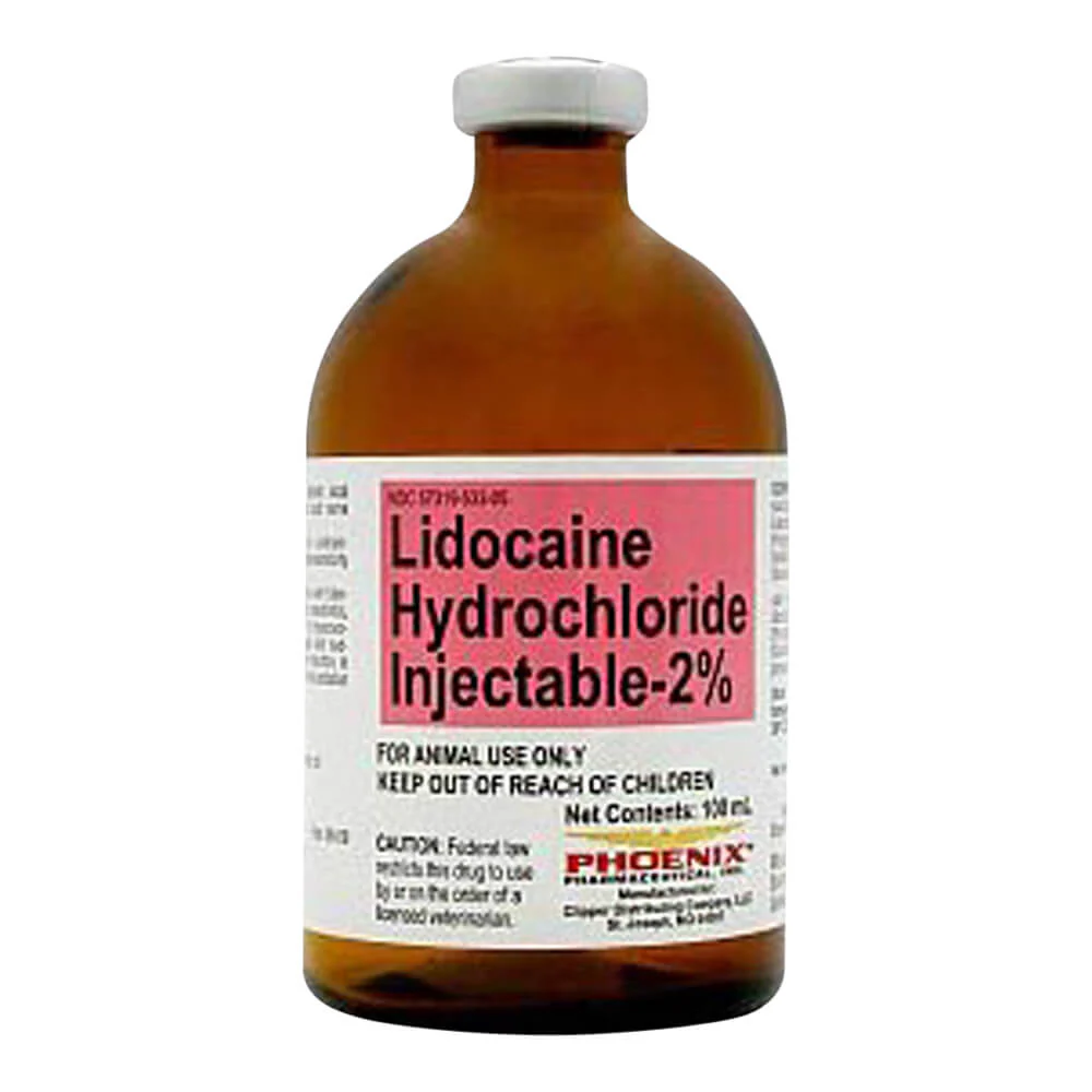 Rx Lidocaine Hydrochloride (Generic) Injectable 2%, 100 ml for Horses & Cattle - Buy Pet Shop