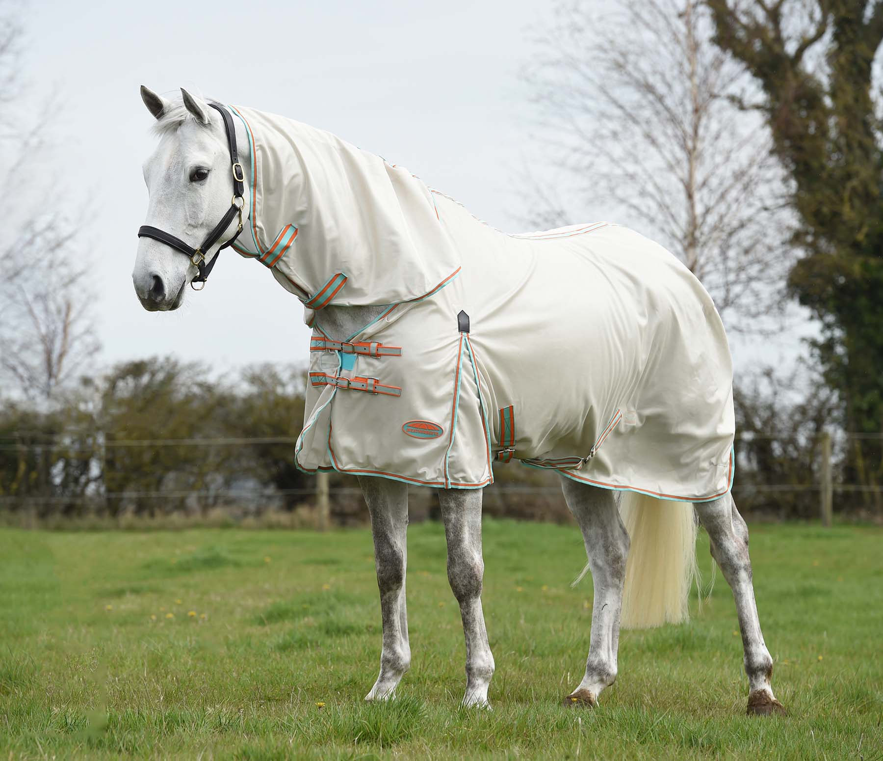 WeatherBeeta ComFITec Essential Mesh II Combo Neck Horse Fly Sheet - Buy Pet Shop