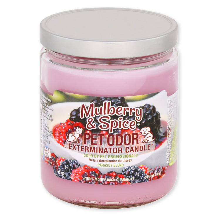 Pet Odor Exterminator Candle, Mulberry & Spice, 13 oz - Buy Pet Shop