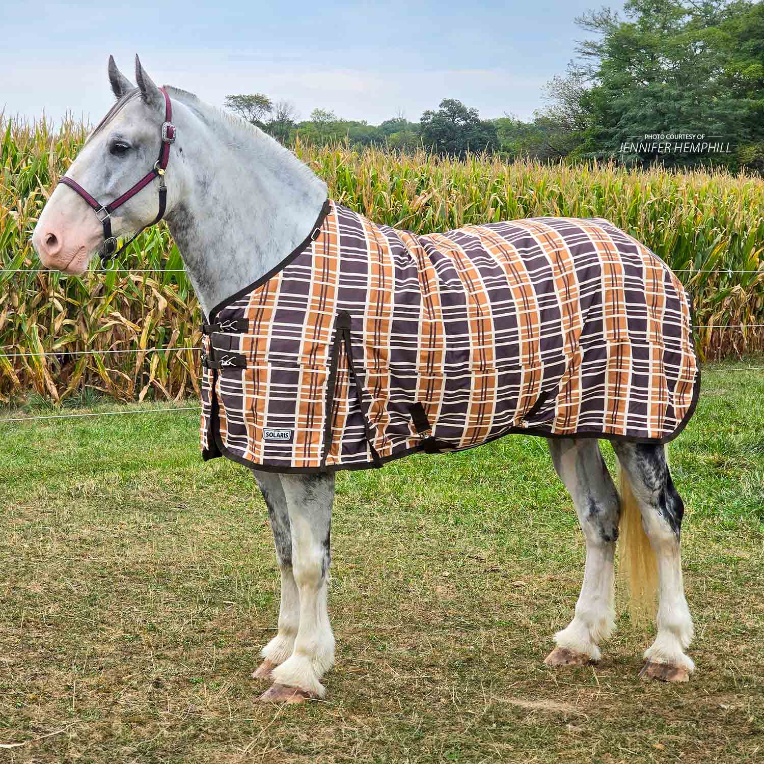 Solaris 1200D Draft Horse Turnout Blanket, 240g, Brown & Cream Plaid - Buy Pet Shop