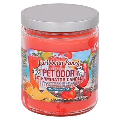Pet Odor Exterminator Candle, Caribbean Punch, 13 oz - Buy Pet Shop