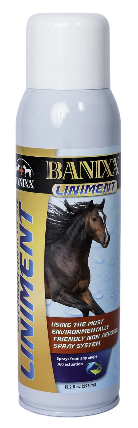 Banixx Premium Spray Liniment - Buy Pet Shop