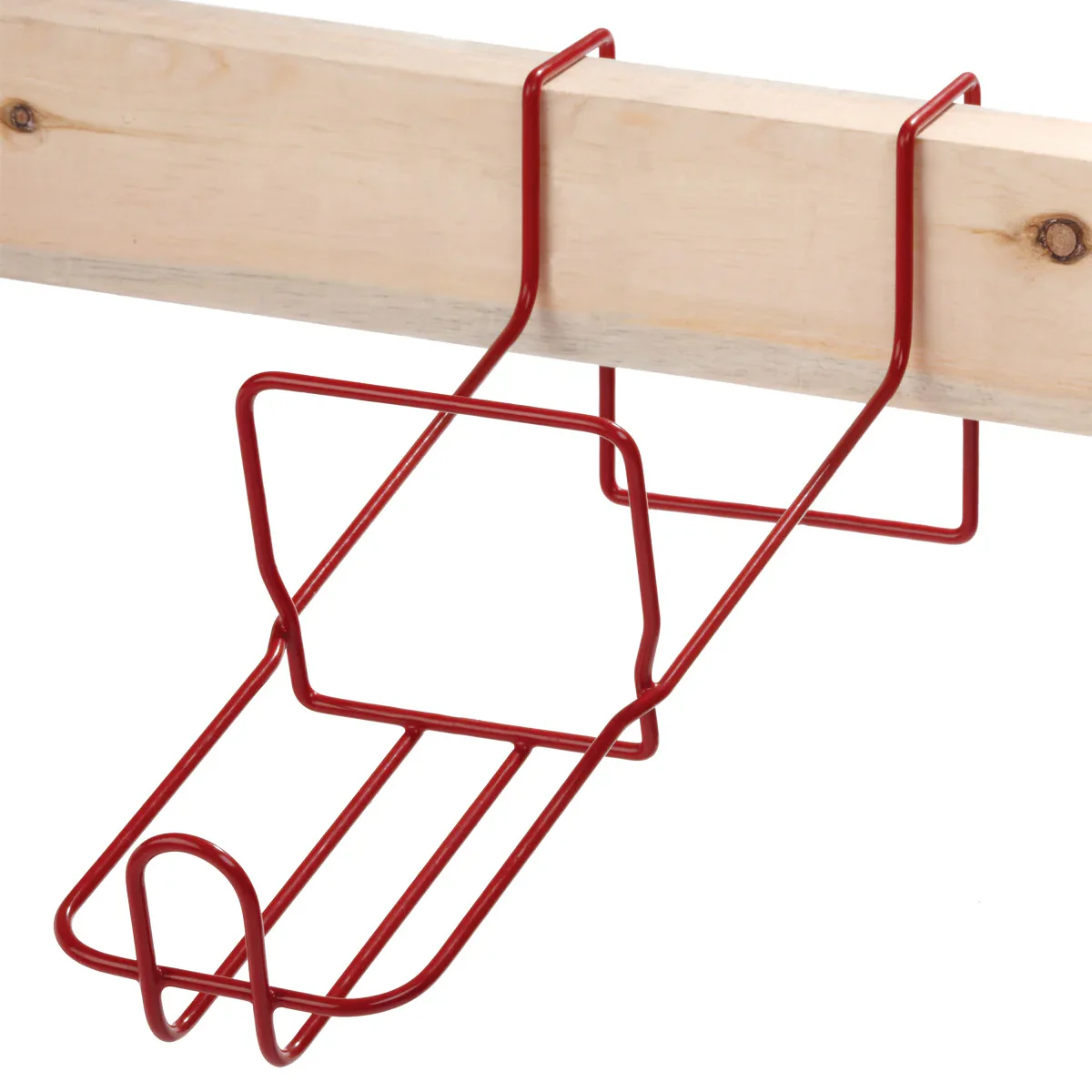 Calf Bottle Rack - Buy Pet Shop