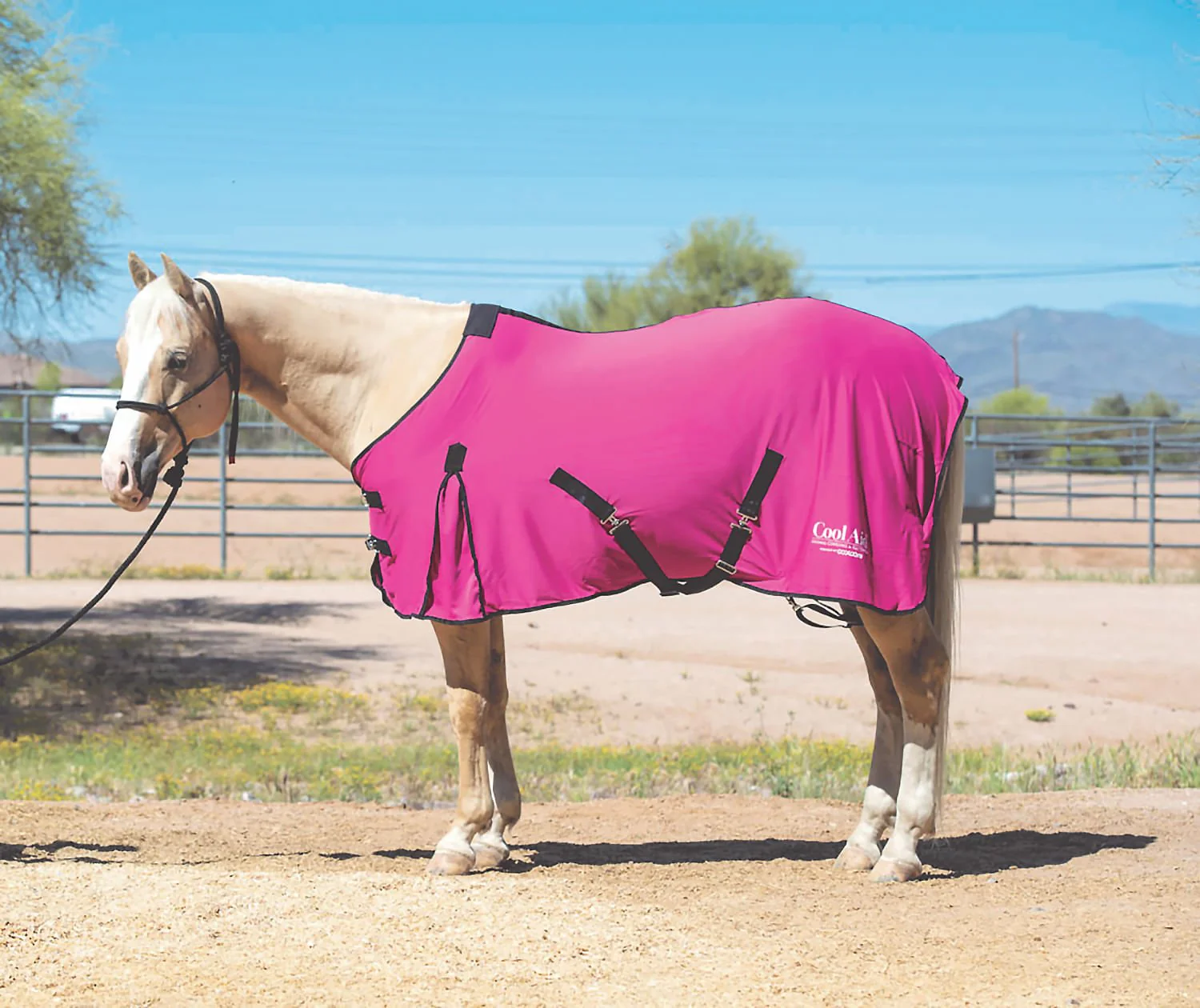 Coolcore Equine Cooling Blanket - Buy Pet Shop