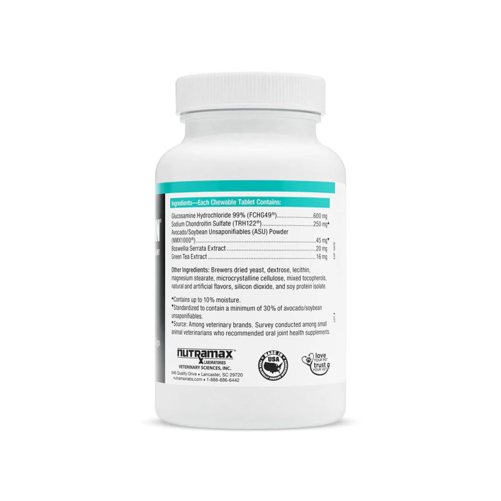 Nutramax Dasuquin for Dogs, Joint Health Supplement, Contains Glucosamine, Plus Chondroitin, ASU, and More, Supports Healthy Joints, Chewable Tablets - Buy Pet Shop