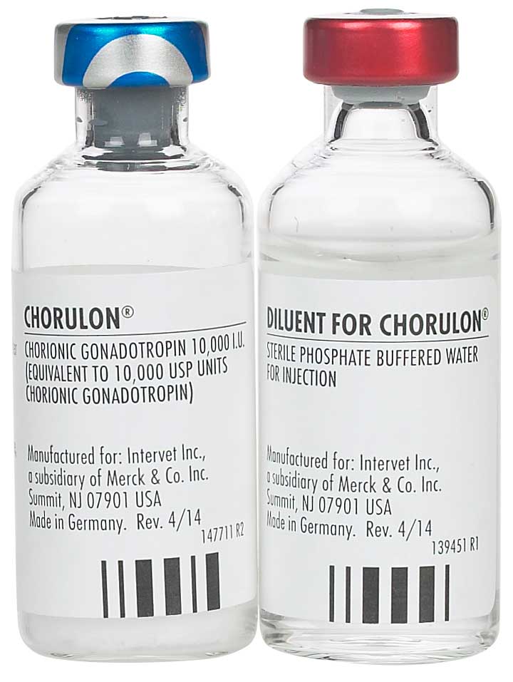 Rx Chorulon HCG for Cattle - Buy Pet Shop