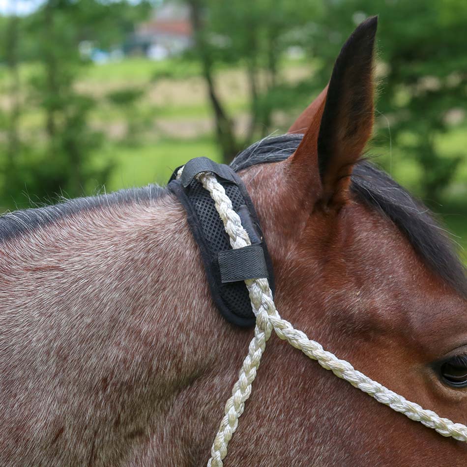 BeneFab Smart Therapeutic Poll Pad, One Size, Black - Buy Pet Shop